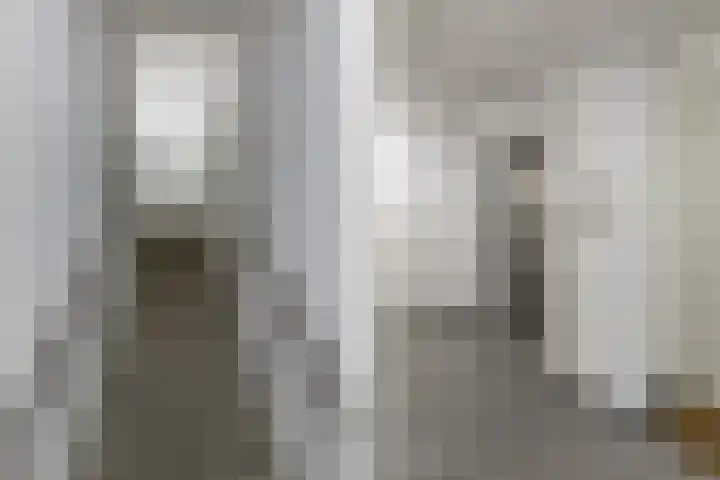 Oorgat 23 e Edam thumbnail 4
