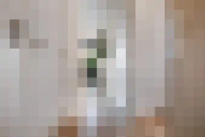 Oorgat 23 e Edam thumbnail 6