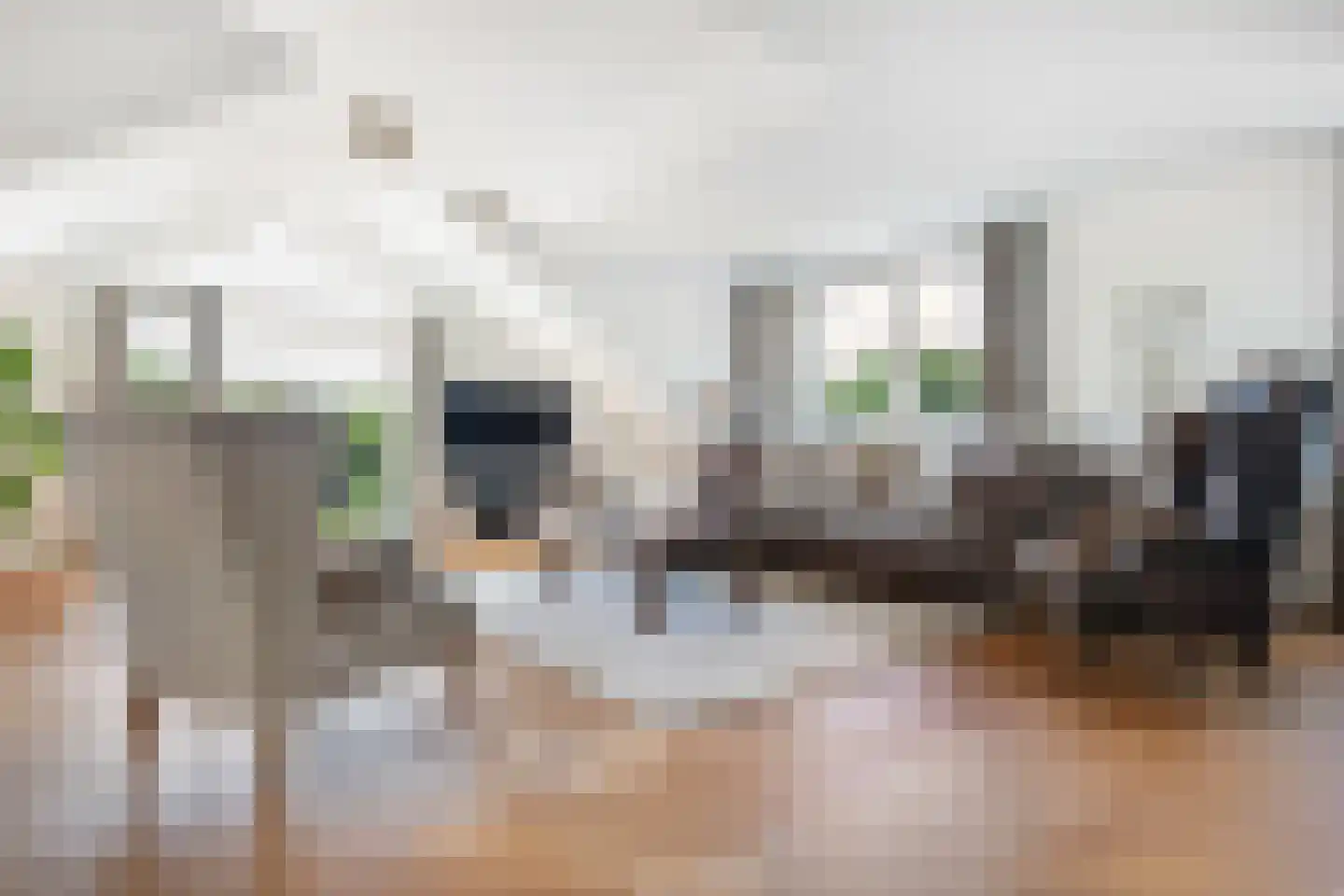Oorgat 23 k Edam thumbnail 10