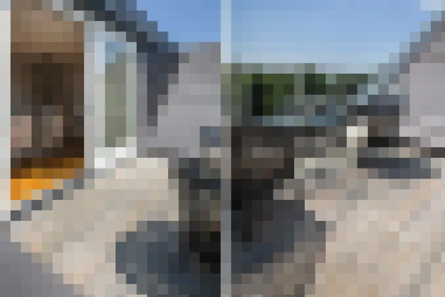 Oorgat 23 k Edam thumbnail 39