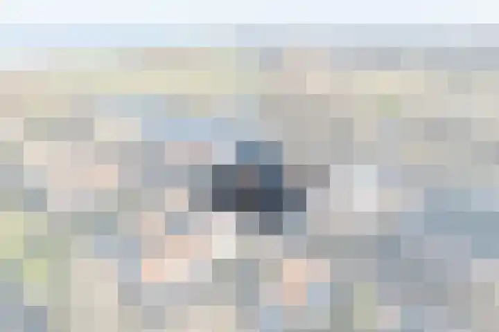 Oorgat 3 a Edam thumbnail 12