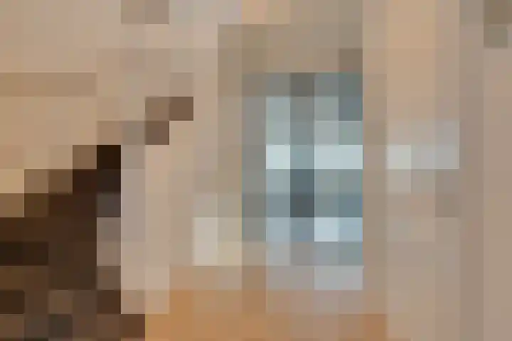 Oorgat 3 a Edam thumbnail 14