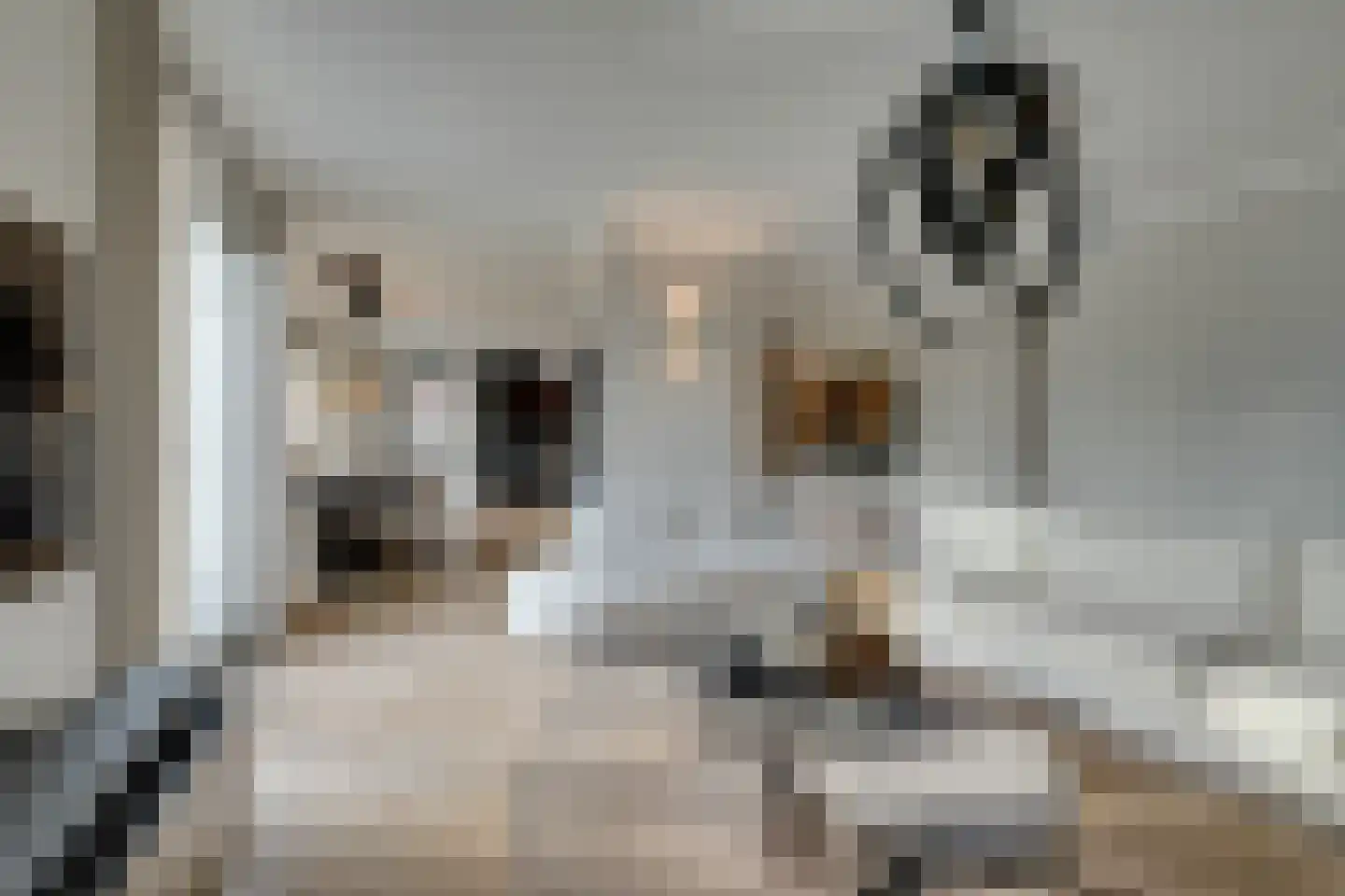 Oorgat 3 a Edam thumbnail 17