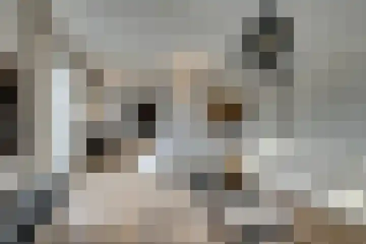 Oorgat 3 a Edam thumbnail 17