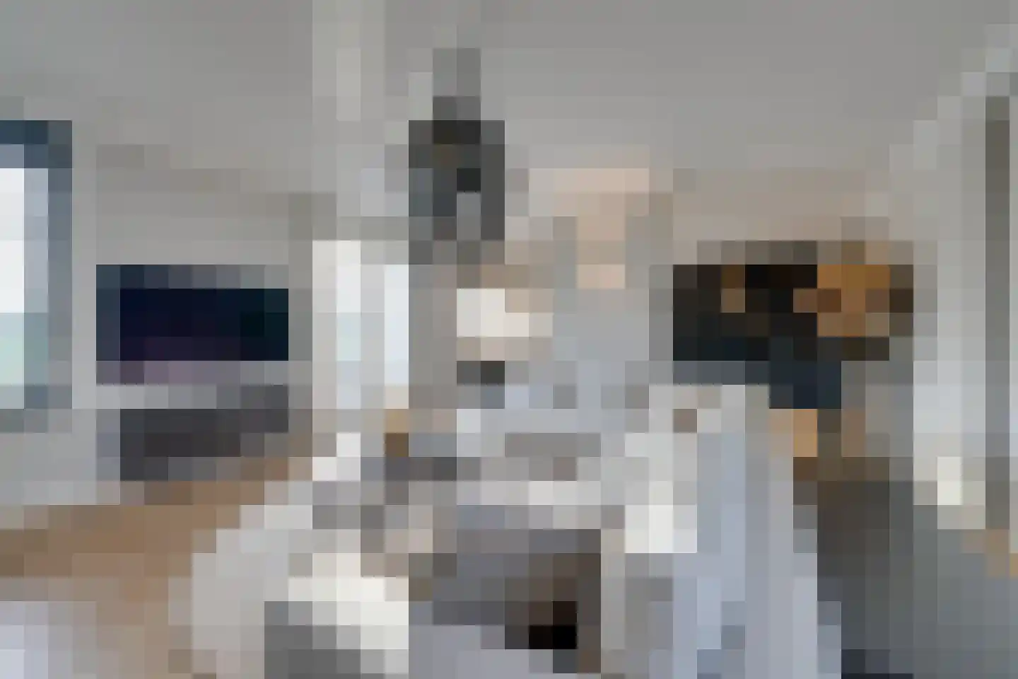 Oorgat 3 a Edam thumbnail 18