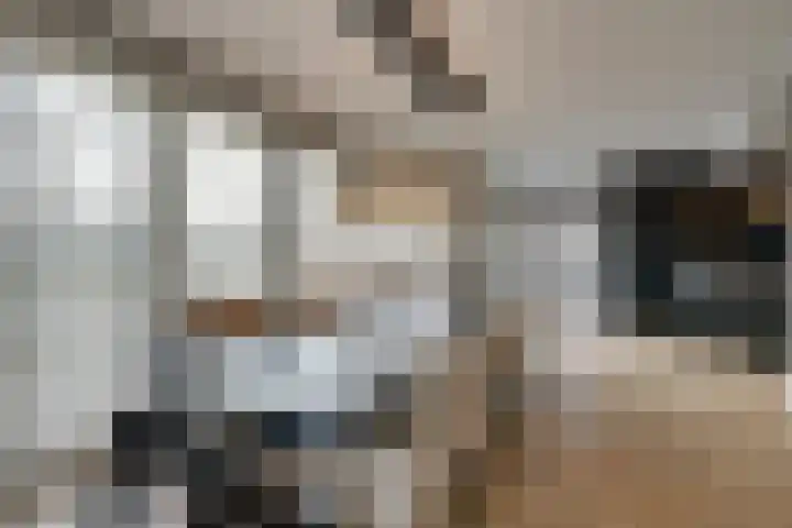 Oorgat 3 a Edam thumbnail 21