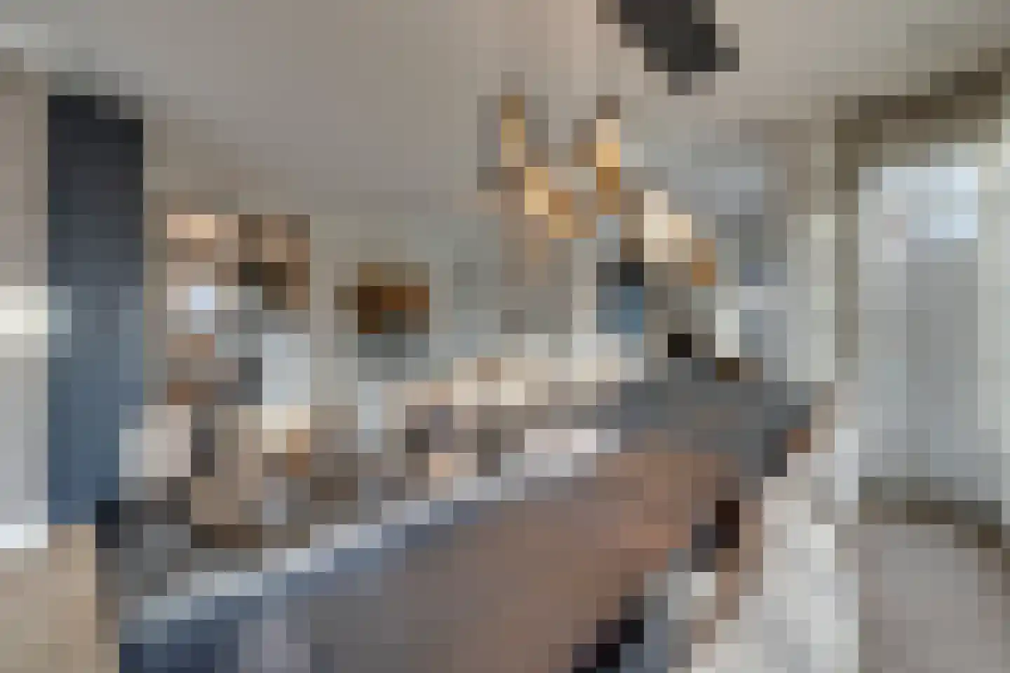 Oorgat 3 a Edam thumbnail 23