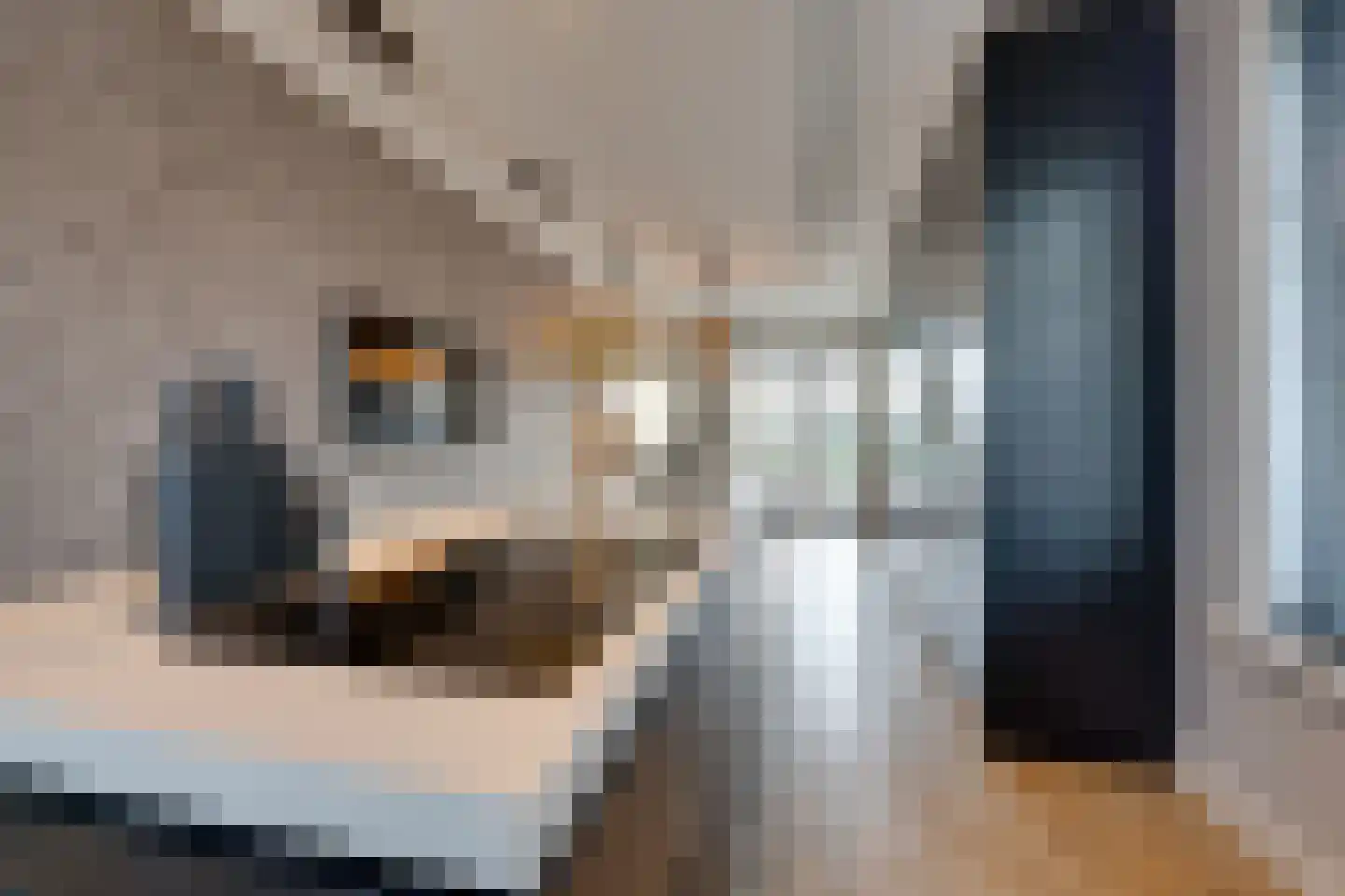 Oorgat 3 a Edam thumbnail 29