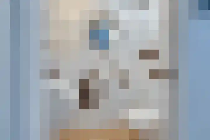Oorgat 3 a Edam thumbnail 35
