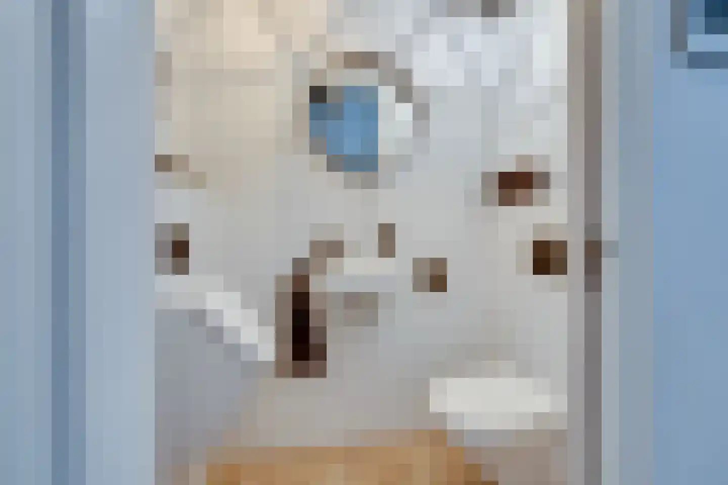 Oorgat 3 a Edam thumbnail 35
