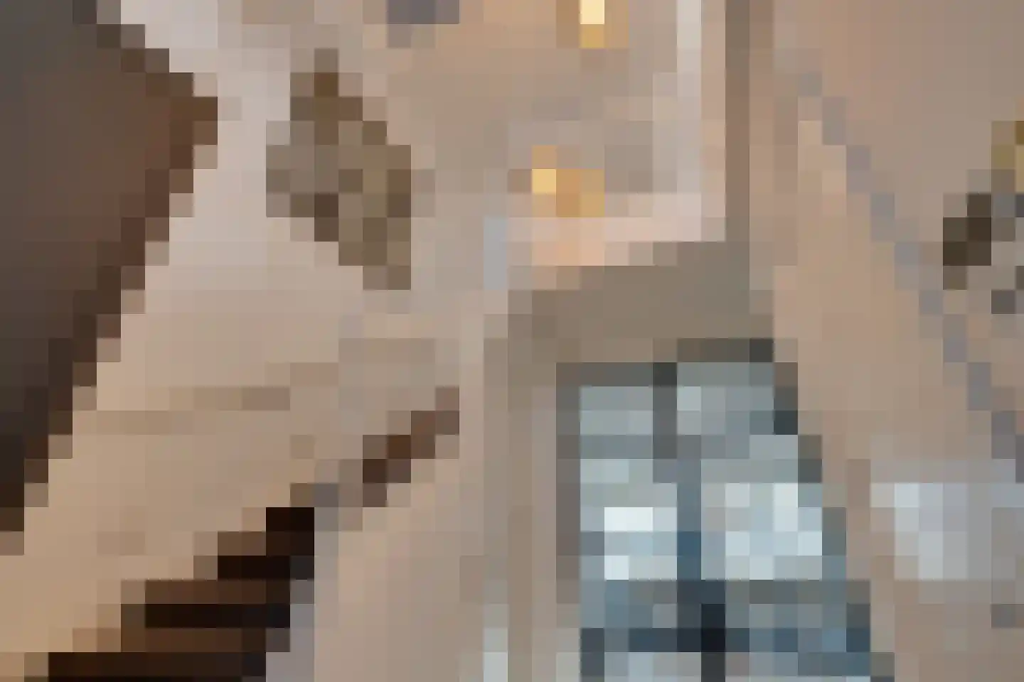 Oorgat 3 a Edam thumbnail 36