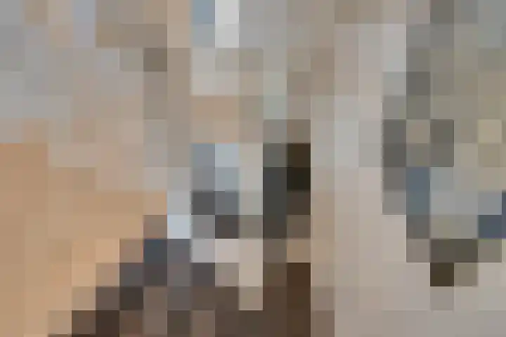 Oorgat 3 a Edam thumbnail 37