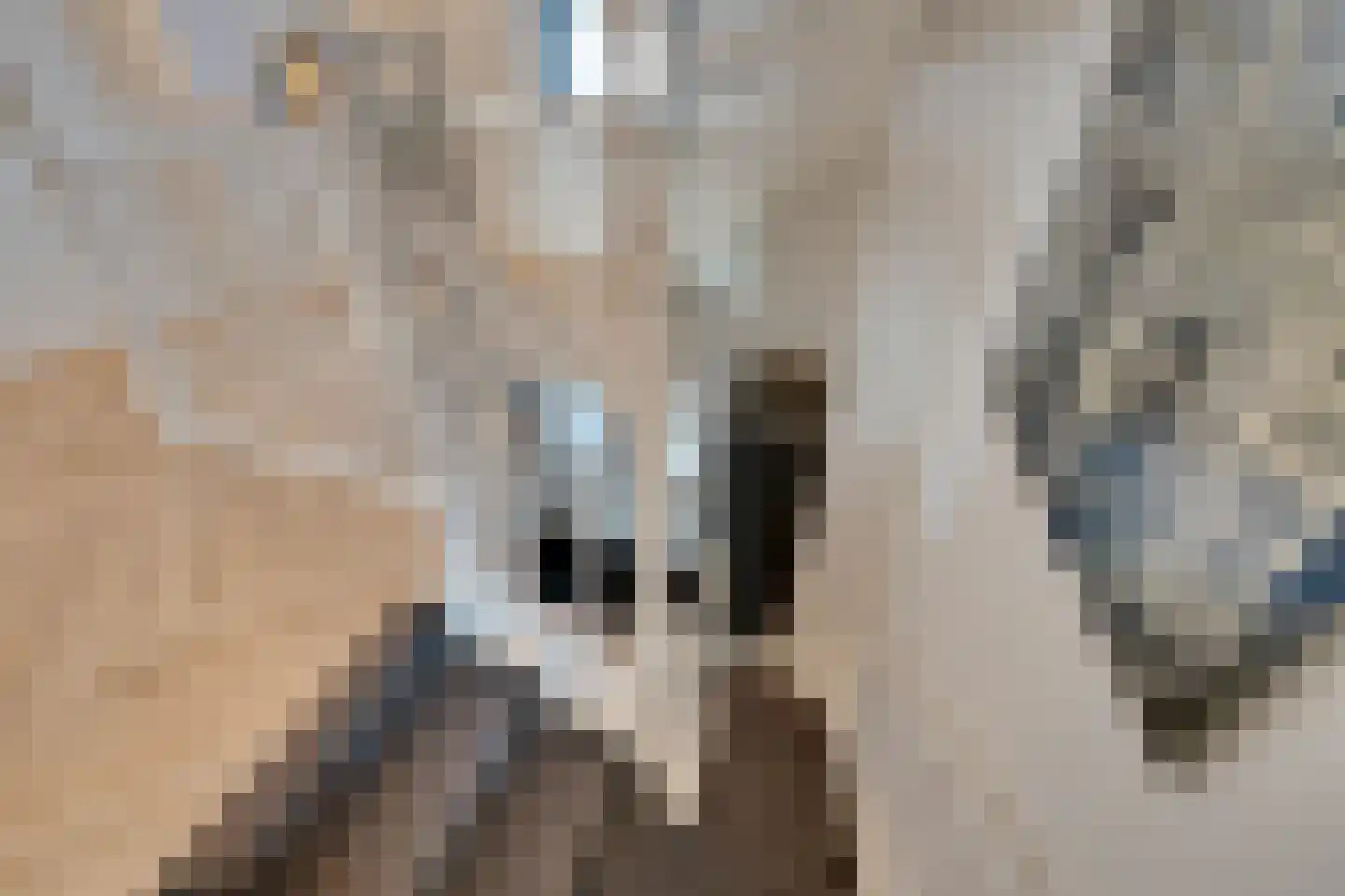 Oorgat 3 a Edam thumbnail 37