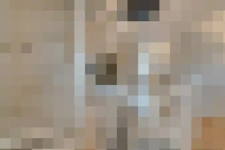 Oorgat 3 a Edam thumbnail 38