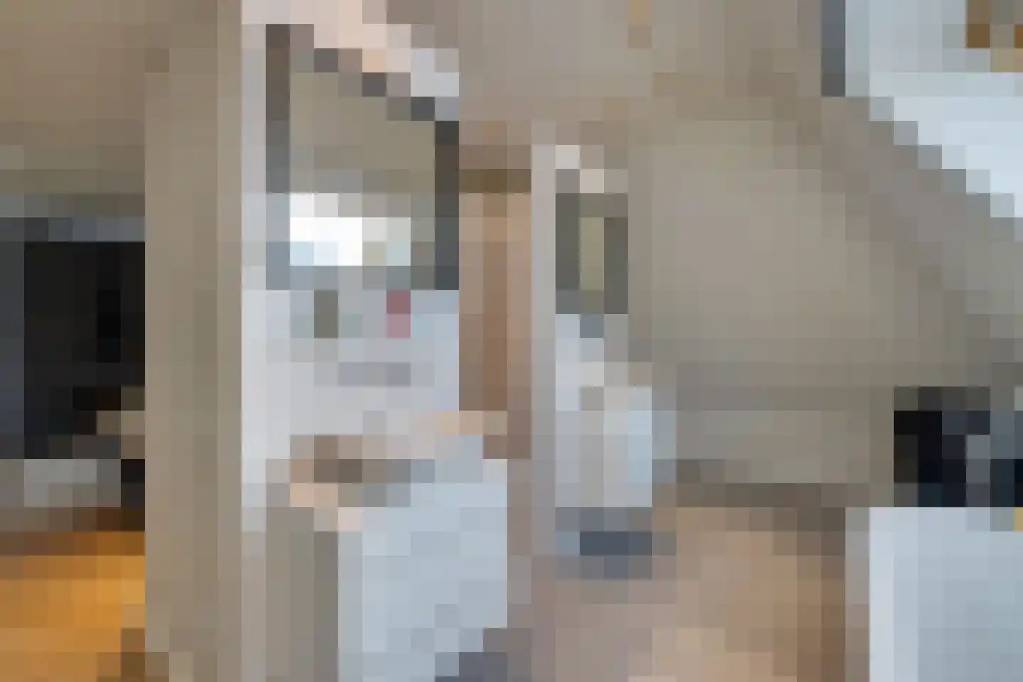 Oorgat 3 a Edam thumbnail 55