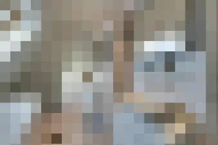 Oorgat 3 a Edam thumbnail 56