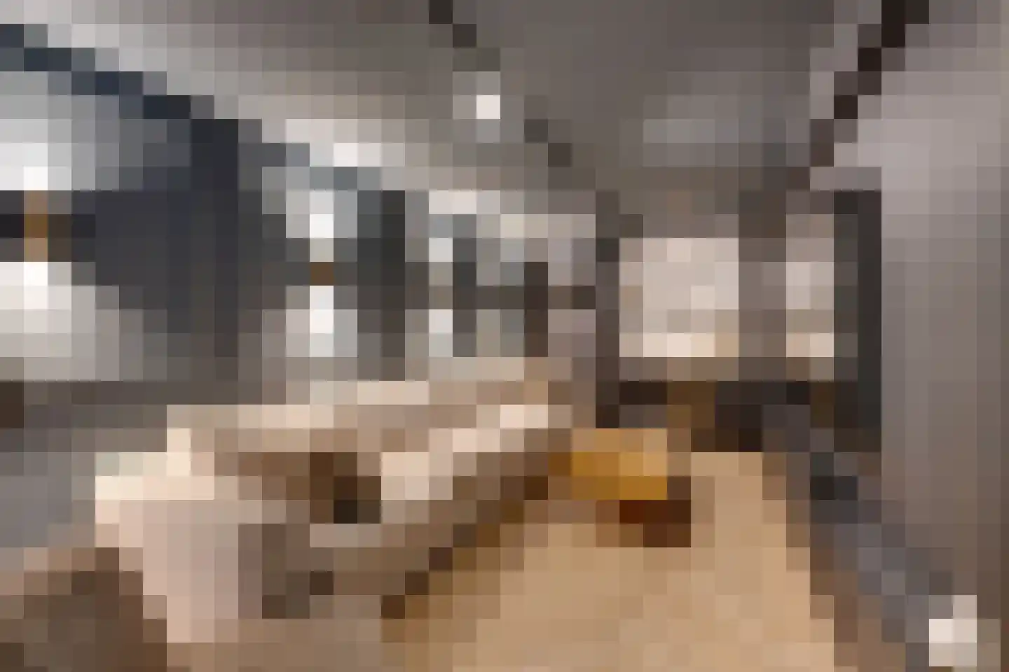 Oorgat 3 a Edam thumbnail 59