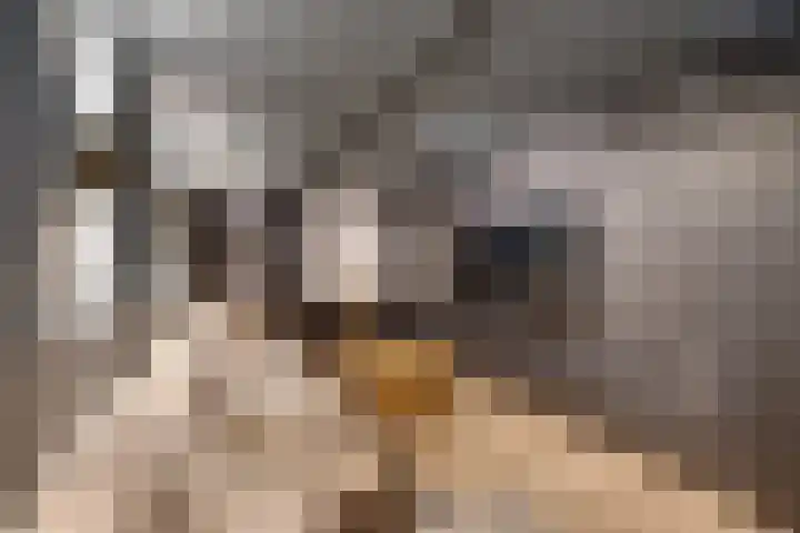 Oorgat 3 a Edam thumbnail 60