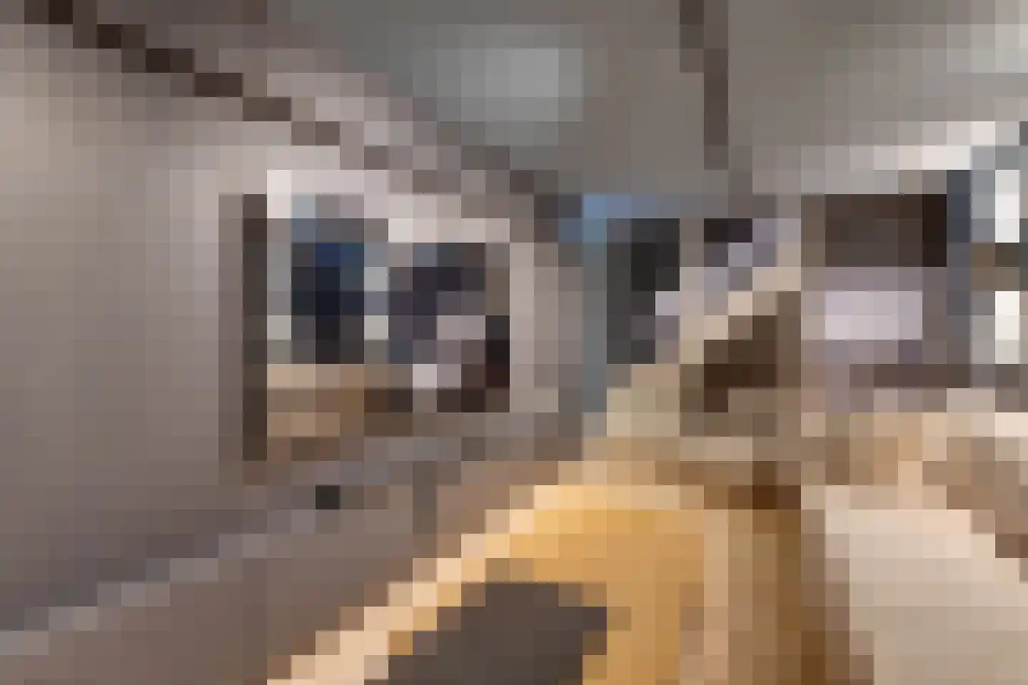 Oorgat 3 a Edam thumbnail 61