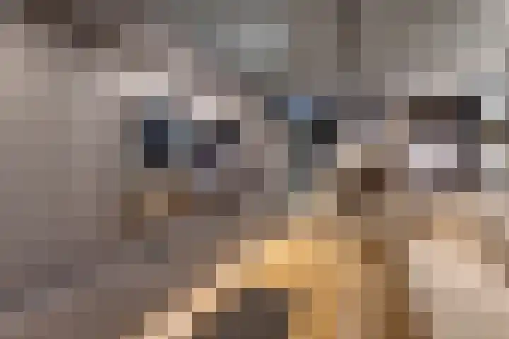 Oorgat 3 a Edam thumbnail 61