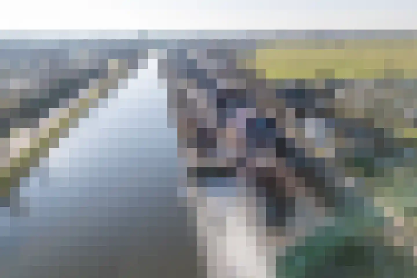 Oorgat 3 a Edam thumbnail 78