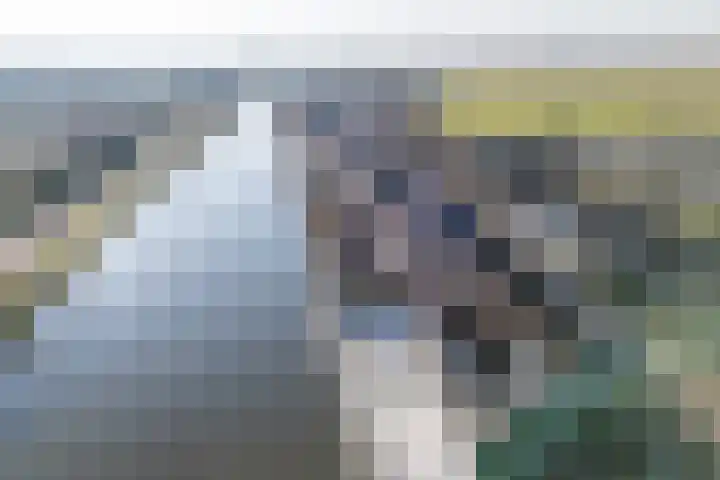 Oorgat 3 a Edam thumbnail 80