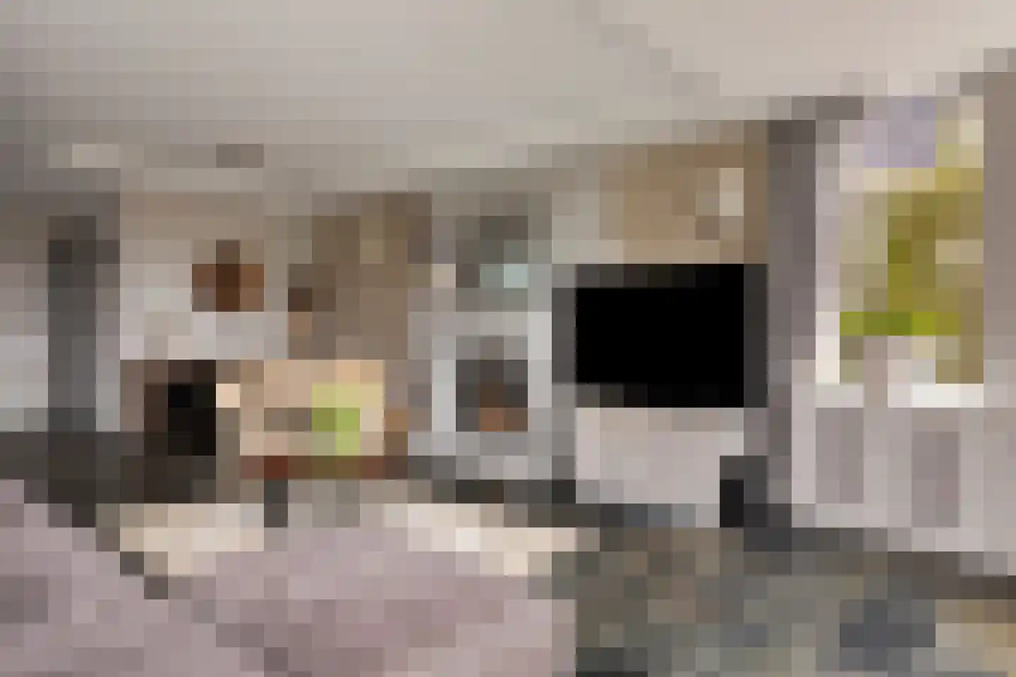 Oorgat 5 j Edam thumbnail 11