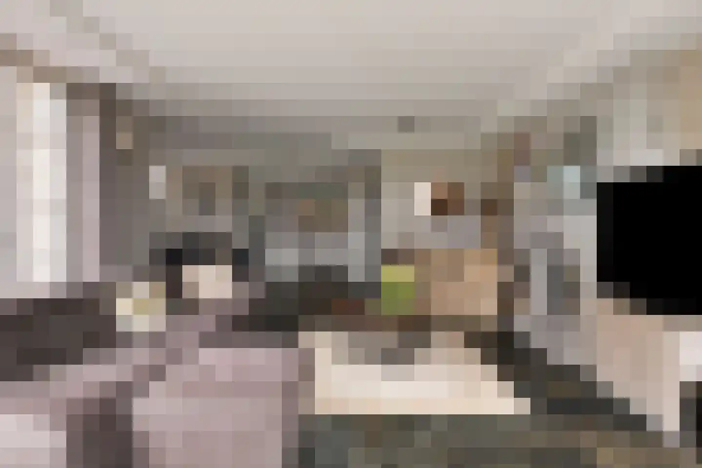 Oorgat 5 j Edam thumbnail 12