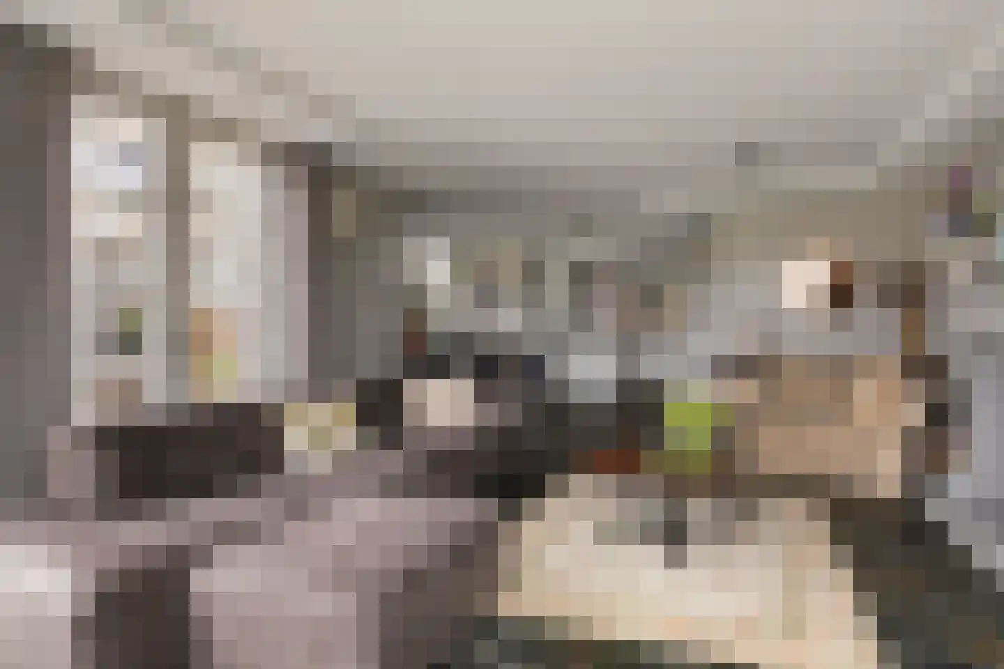 Oorgat 5 j Edam thumbnail 13