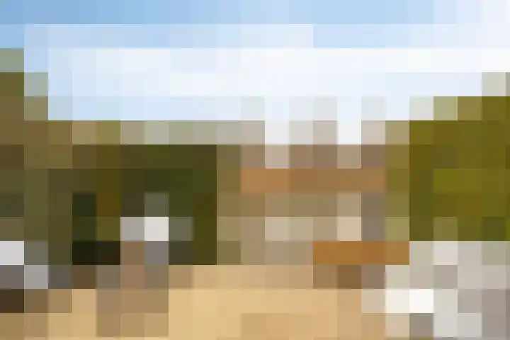 Oorgat 5 j Edam thumbnail 14
