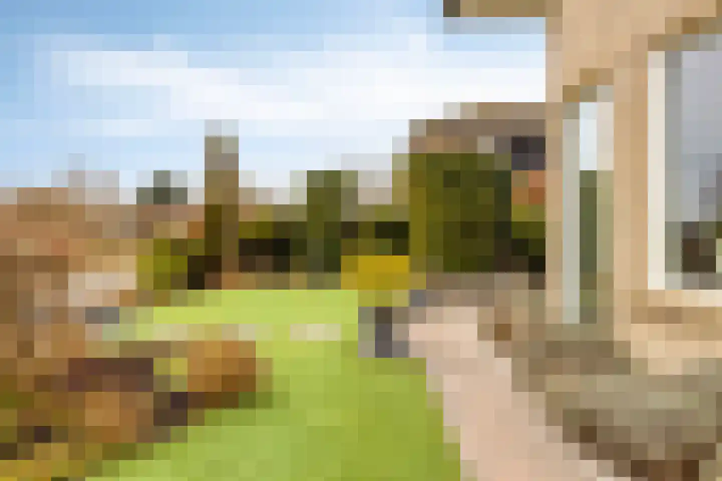 Oorgat 5 j Edam thumbnail 19