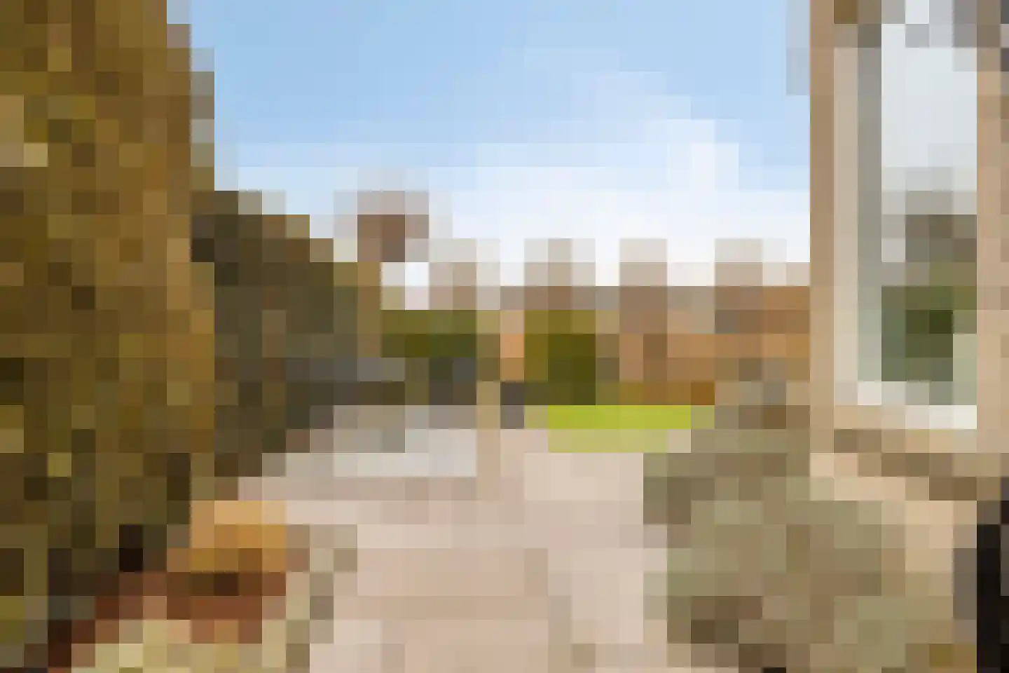 Oorgat 5 j Edam thumbnail 20