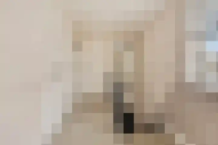 Oorgat 5 j Edam thumbnail 30