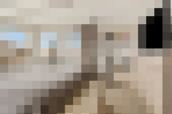 Oorgat 5 j Edam thumbnail 32