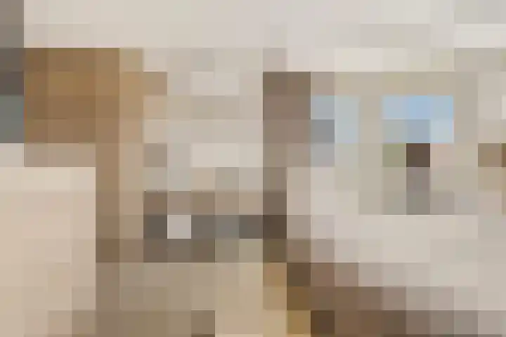 Oorgat 5 j Edam thumbnail 33