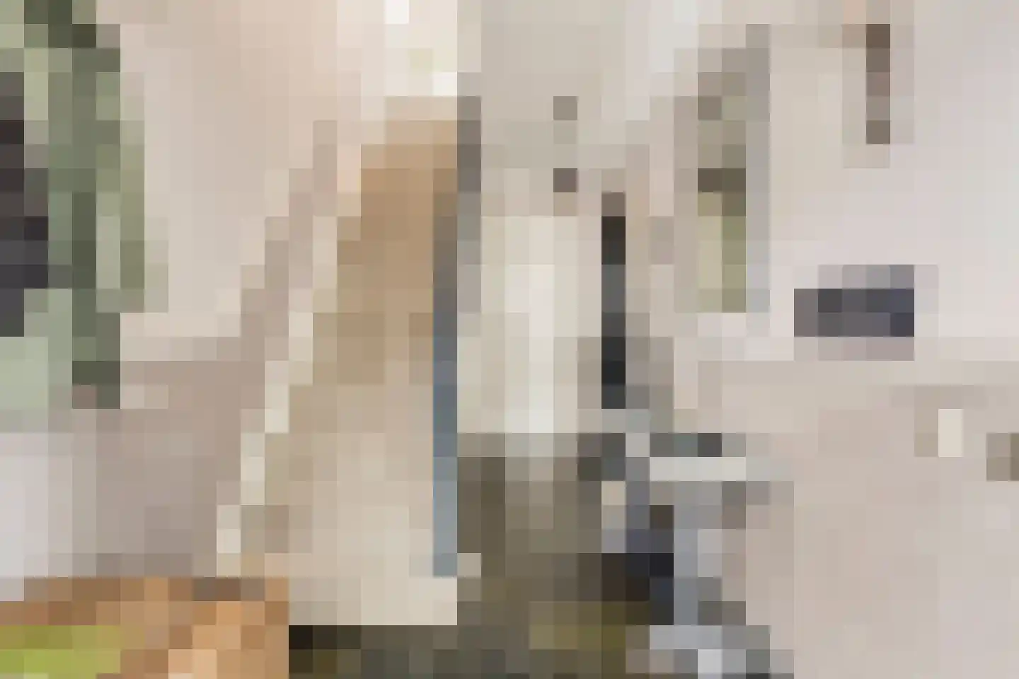 Oorgat 5 j Edam thumbnail 37