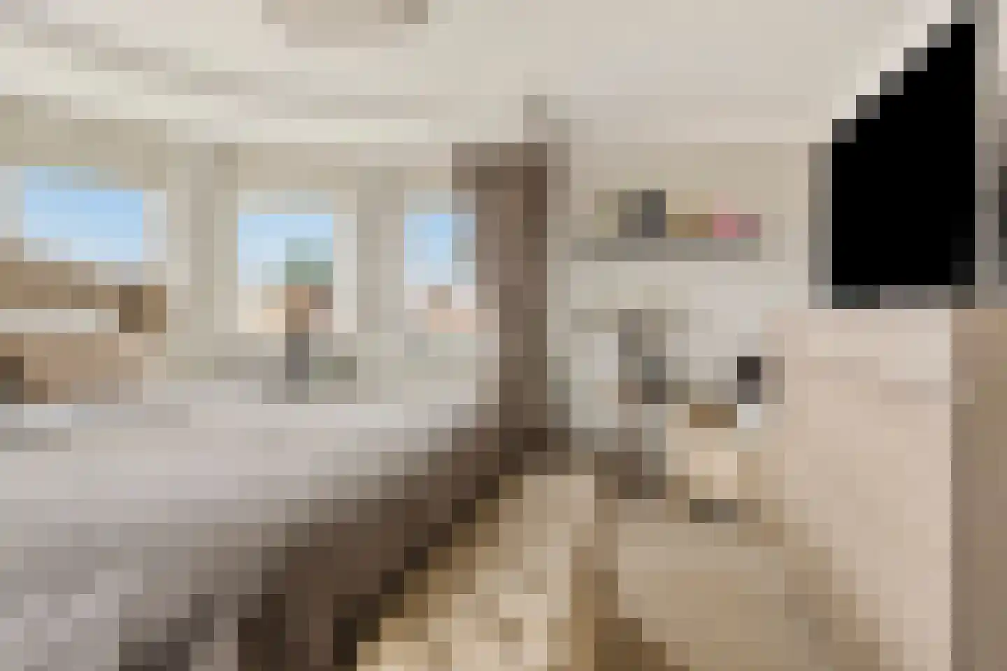Oorgat 5 j Edam thumbnail 40