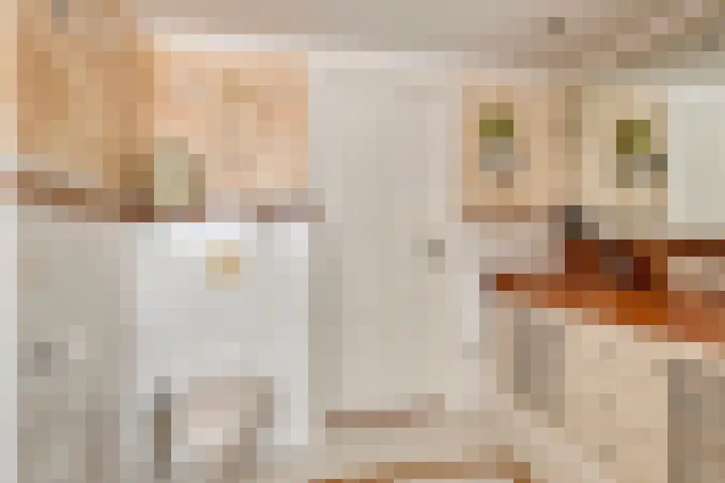 Oorgat 5 j Edam thumbnail 46