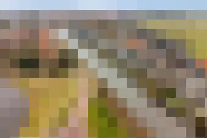 Oorgat 5 j Edam thumbnail 51