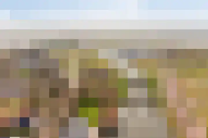 Oorgat 5 j Edam thumbnail 52