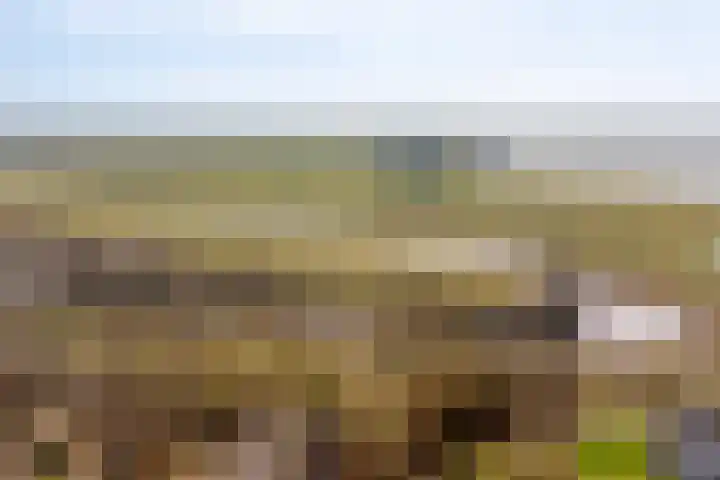 Oorgat 5 j Edam thumbnail 54