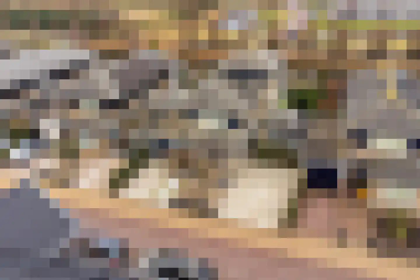 Oorgat 5 j Edam thumbnail 56