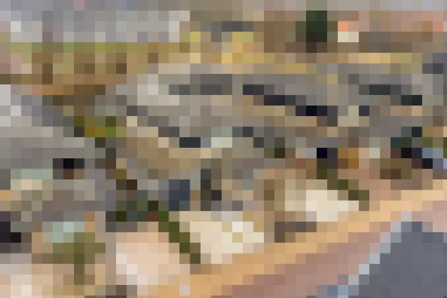 Oorgat 5 j Edam thumbnail 57