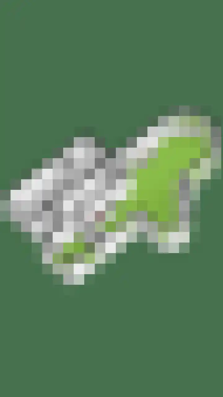 Oorgat 5 j Edam thumbnail 57