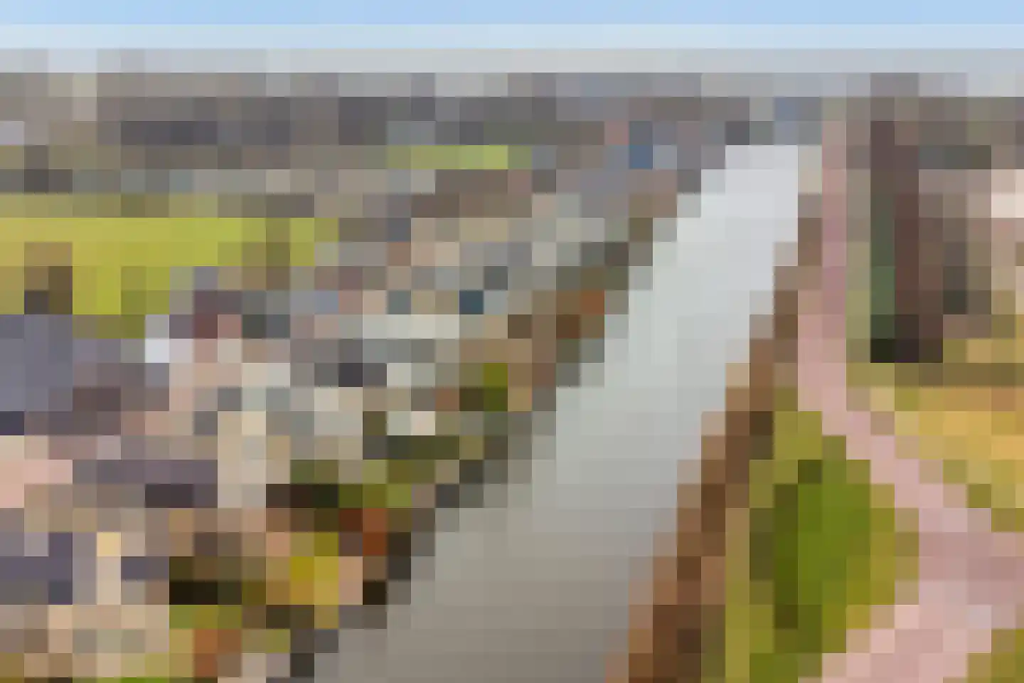 Oorgat 5 j Edam thumbnail 58