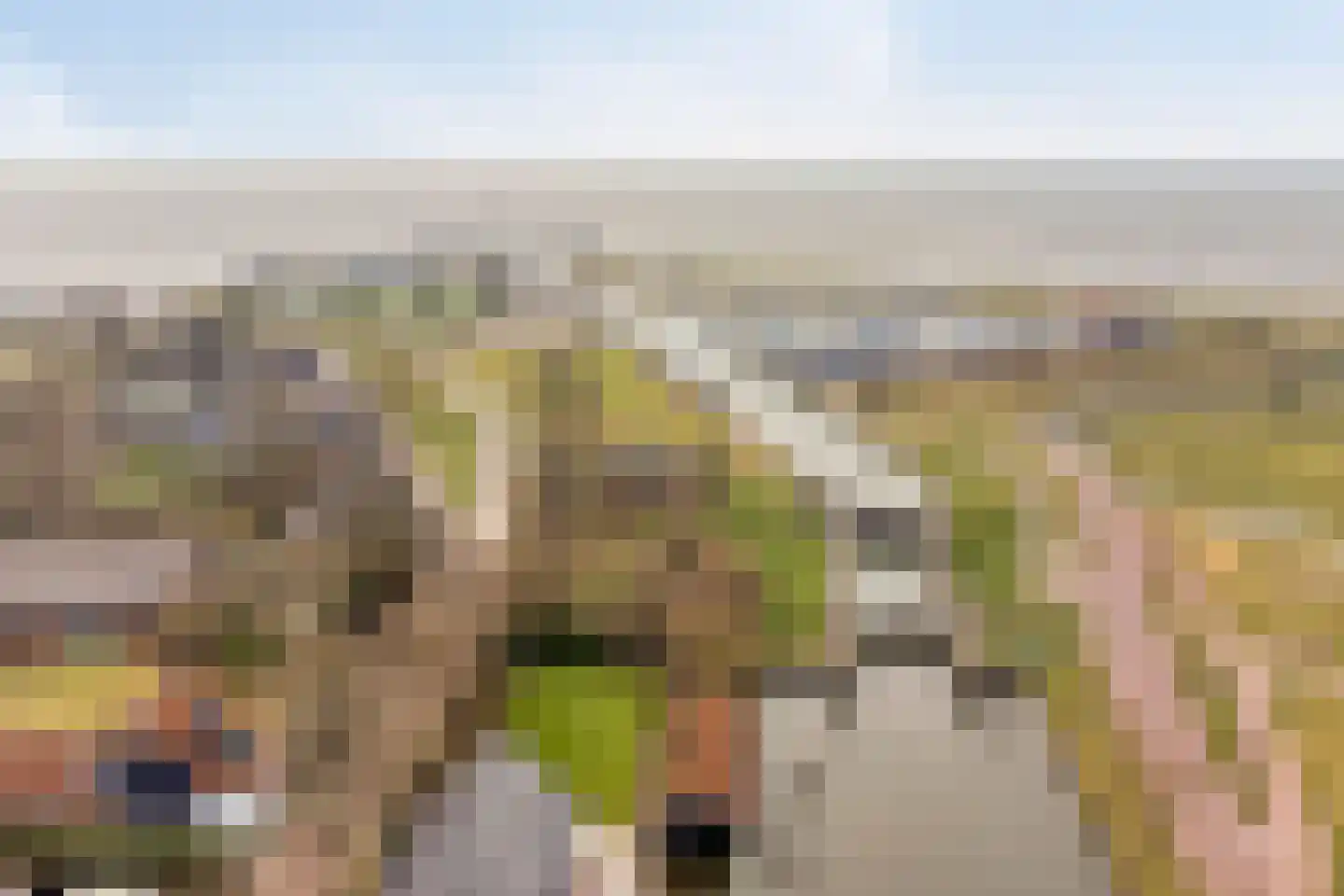 Oorgat 5 j Edam thumbnail 60