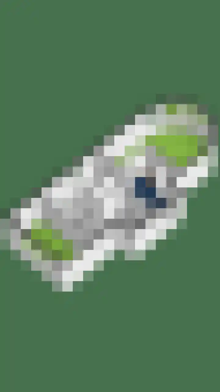Oorgat 5 j Edam thumbnail 61