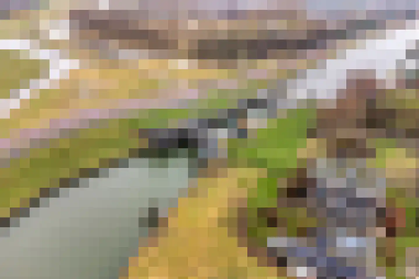 Oorgat 5 j Edam thumbnail 61