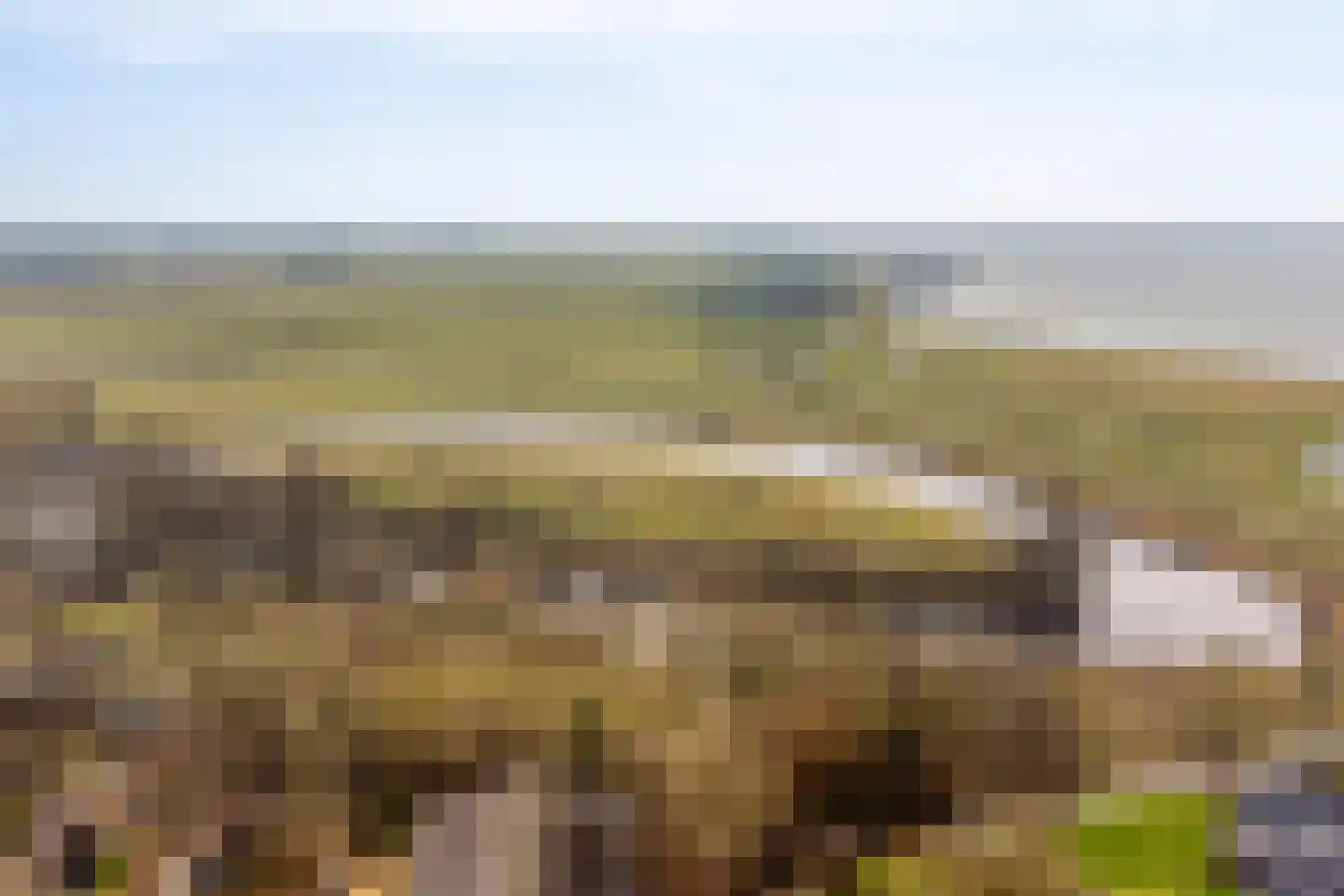 Oorgat 5 j Edam thumbnail 62