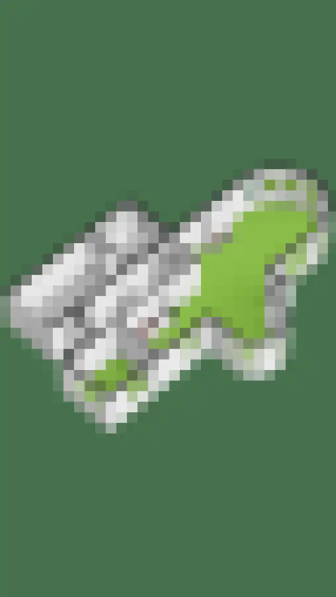 Oorgat 5 j Edam thumbnail 65